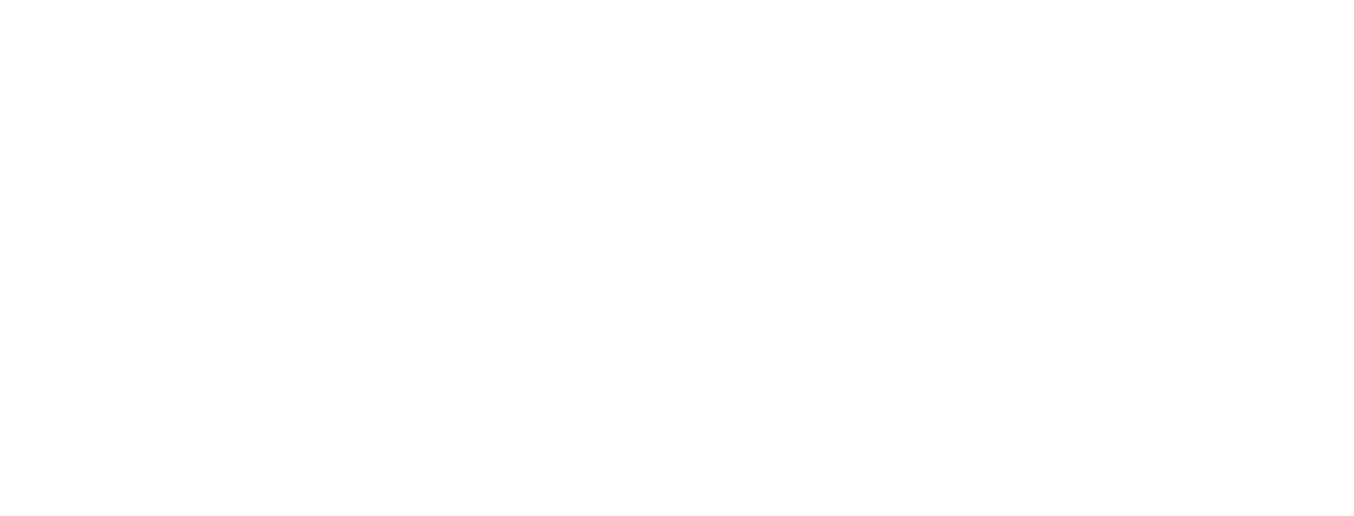 Built Ford Proud